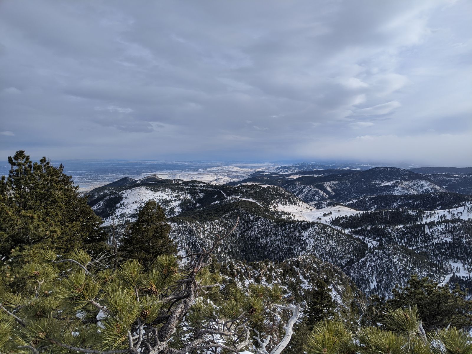 Looking out over winter ridgelines toward the plains from a snowy overlook, framed by pine branches
